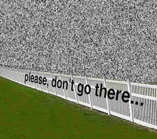 A strange-looking photo of a white picket fence that stretches into the horizon behind a patch of green grass. The sky behind the fence has been replaced with TV static. Along the fence are stretched the words 'please, don't go there' in a narrow sans-serif font.
