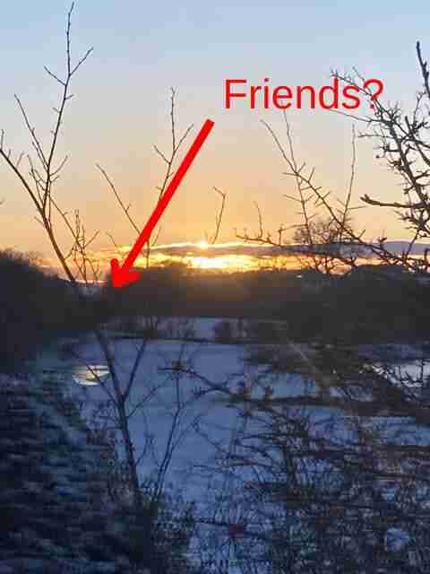 A blurry, pixelated photo of a winter sunset behind frosty fields, partially obscured by leafless branches. A red arrow points to a location in the distance, labelled 'friends?'