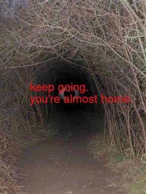 A photo taken inside a tunnel formed out of living, but leafless, trees at night. Red sans-serif text in the centre of the screen spells out 'keep going. you're almost home.', just barely covering a large eye at the end of the tunnel.