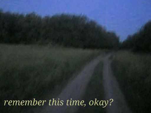 A blurry photo of a field taken from the ground, with the text 'remember this time, okay?' in in a yellow-ish serif font in the bottom-left corner.